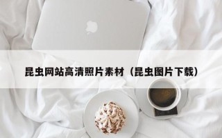 吉林昆虫网站高清照片素材（昆虫图片下载）